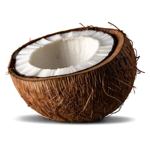 Cartoon Coconut Character PNG 05242024 PNG