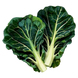 Cartoon Collard Greens Png 06252024 PNG image