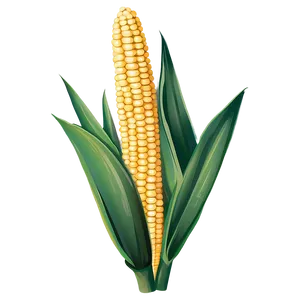 Cartoon Corn Stalk PNG Aej