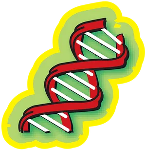 Cartoon D N A Helix PNG image