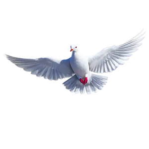 Cartoon Dove PNG 05042024