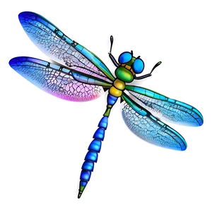 Cartoon Dragonfly Png 64 PNG image
