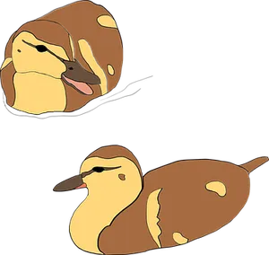 Cartoon Ducks Resting PNG image