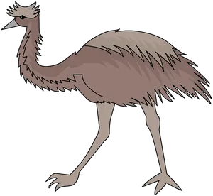 Cartoon Emu Illustration PNG image