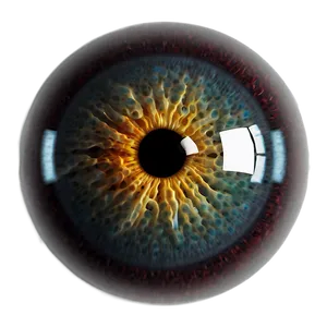 Cartoon Eyeball PNG Gva