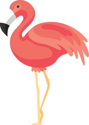 Cartoon Flamingo Standing PNG image