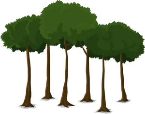 Cartoon Forest Trees Vector
