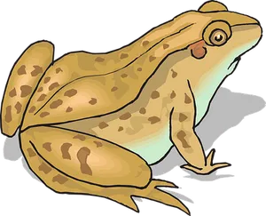 Cartoon Frog Illustration PNG image