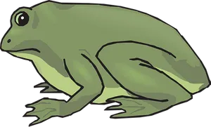 Cartoon Frog Side View Illustration PNG image