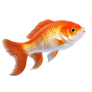 Cartoon Goldfish PNG Guy