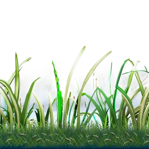 Cartoon Grass For Design PNG Nay PNG