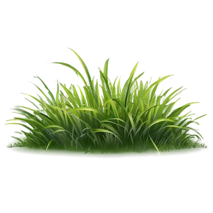 Cartoon Grass Outline PNG 10