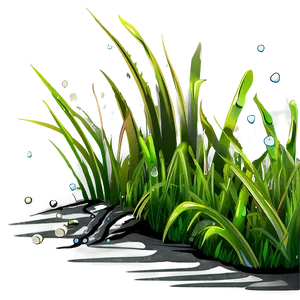 Cartoon Grass With Dew PNG 06122024