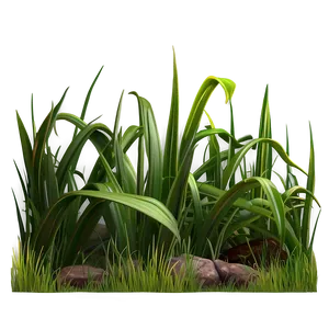 Cartoon Grass With Sun PNG 06122024