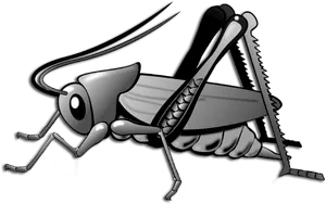 Cartoon Grasshopper Illustration PNG image