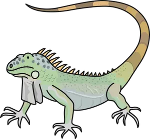 Cartoon Green Iguana Illustration PNG image