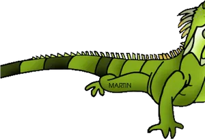 Cartoon Green Iguana PNG image