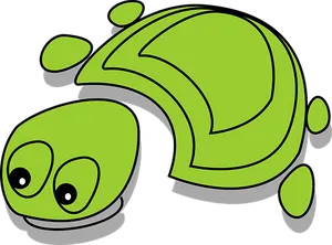 Cartoon Green Turtle Graphic PNG image