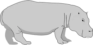 Cartoon_ Hippopotamus_ Graphic PNG image