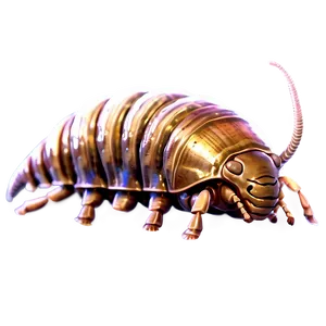 Cartoon Isopod Png Wmv PNG image