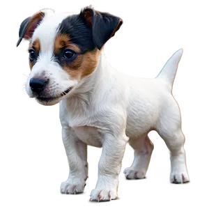 Cartoon Jack Russell Puppy Png 16 PNG image