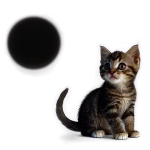 Cartoon Kitten PNG Rkb65