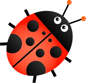 Cartoon Ladybug Graphic PNG