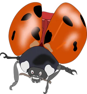 Cartoon Ladybug Illustration