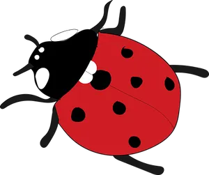 Cartoon Ladybugon Black Background PNG image