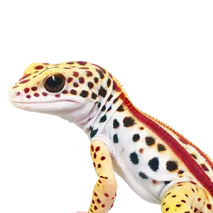 Cartoon Leopard Gecko PNG 06202024