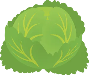 Cartoon Lettuce Graphic PNG image