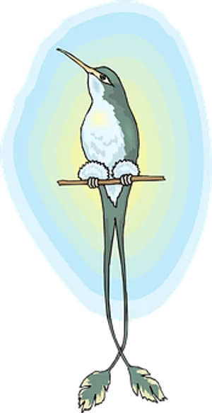 Cartoon Long Legged Bird PNG image