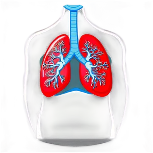 Cartoon Lungs Character Png 54 PNG image