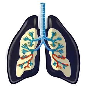 Cartoon Lungs Character Png 6 PNG image