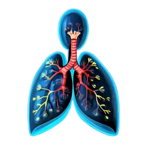 Cartoon Lungs Character Png 70 PNG image