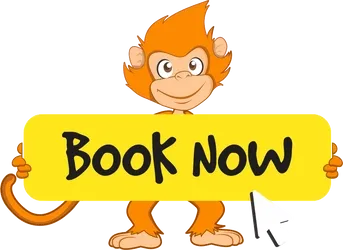 Cartoon Monkey Holding Book Now Sign PNG image