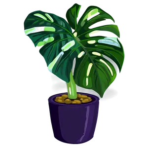 Cartoon Monstera Plant PNG 72