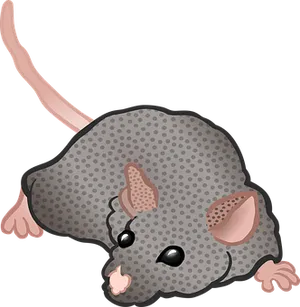 Cartoon Mouse Graphic