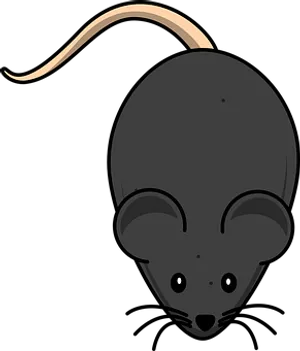 Cartoon Mouse Top View Illustration