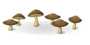 Cartoon_ Mushrooms_on_ Black_ Background PNG image