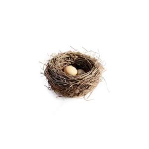 Cartoon Nest Drawing PNG 05252024 PNG