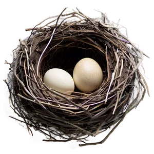 Cartoon Nest Drawing Png 05252024 PNG image