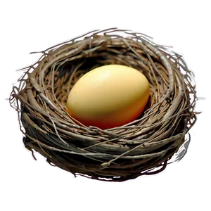 Cartoon Nest Drawing PNG 52 PNG
