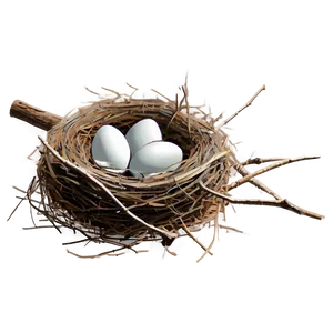 Cartoon Nest Drawing Png Nis PNG image