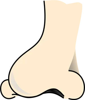 Cartoon Nose Profile Illustration PNG image