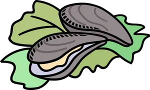 Cartoon Oyster Illustration PNG image