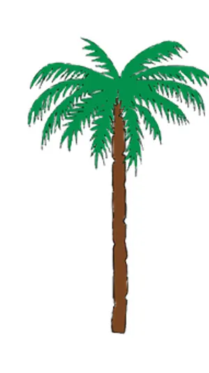 Cartoon Palm Tree Illustration PNG image
