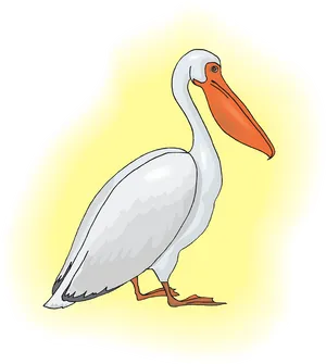 Cartoon Pelican Illustration PNG
