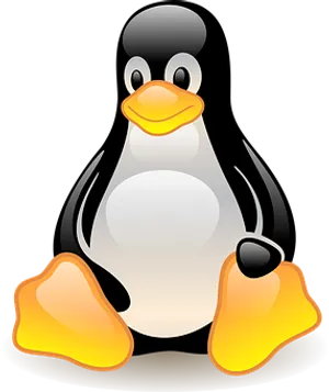 Cartoon Penguin Graphic
