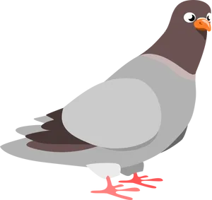 Cartoon Pigeon Illustration PNG